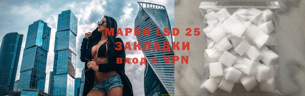 индика Наволоки