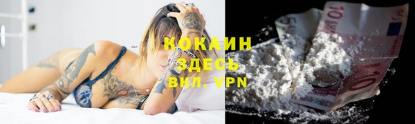 индика Наволоки