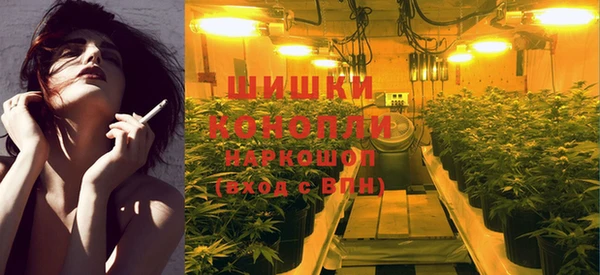 МДПВ Надым