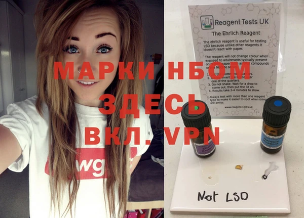 индика Наволоки