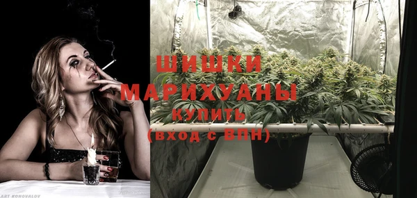 индика Наволоки