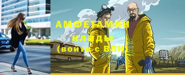 индика Наволоки