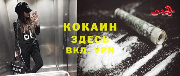 индика Наволоки